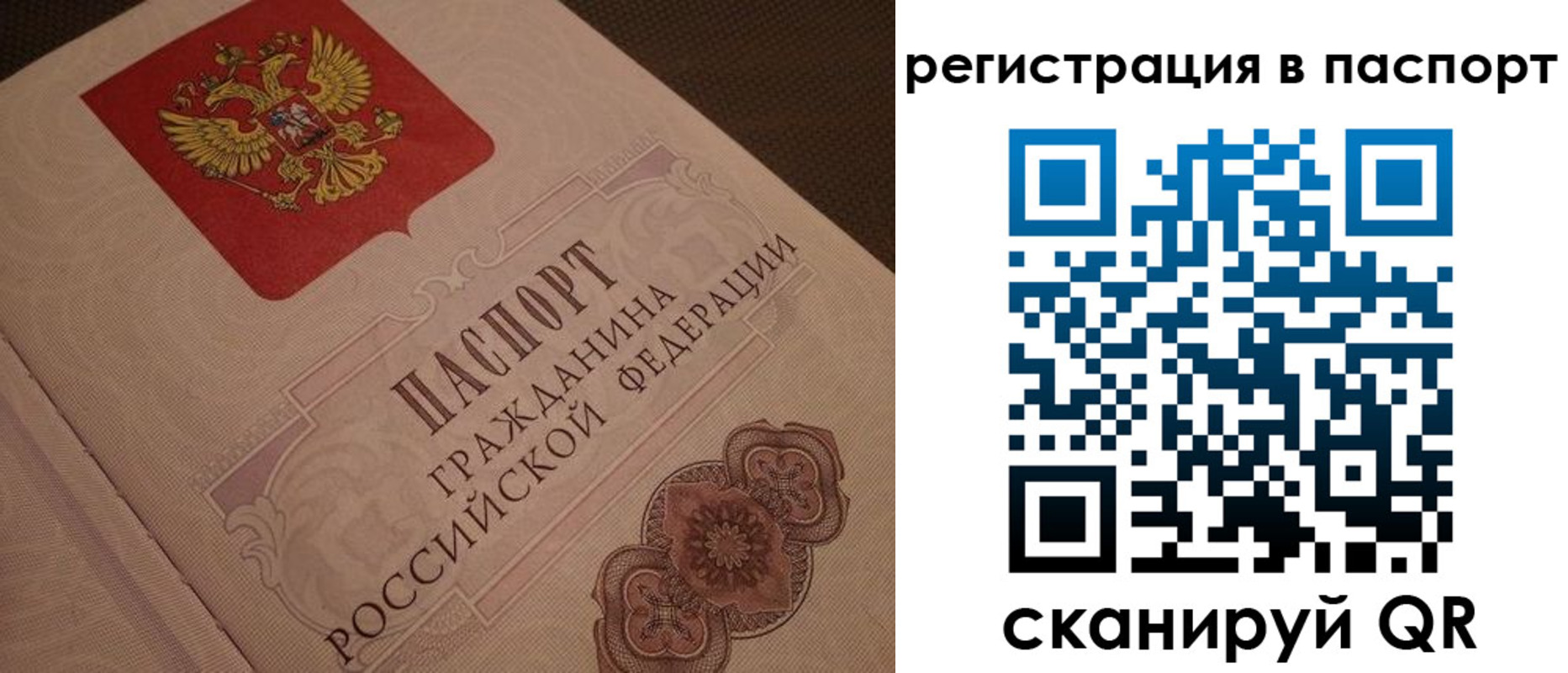 временная регистрация надежно в Луге